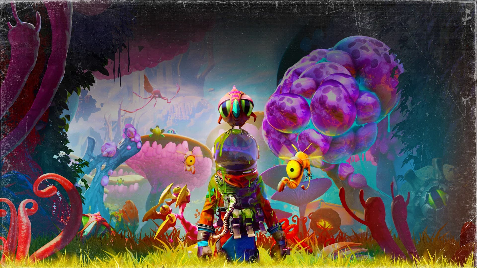 Picture of the author