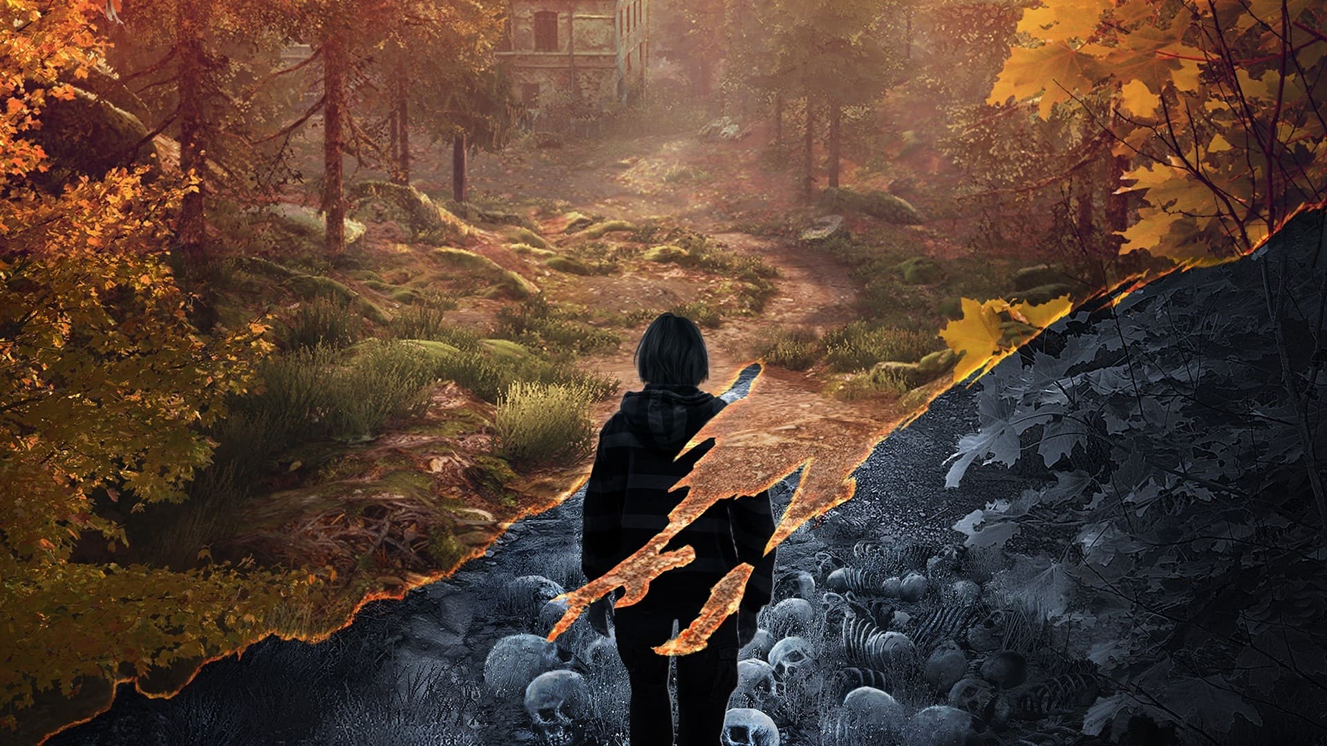 Picture of the author