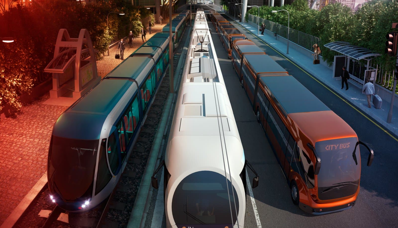 Picture of the author