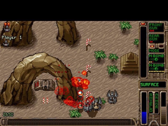 Picture of the author