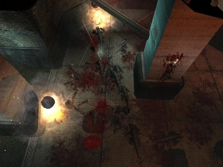 Picture of the author