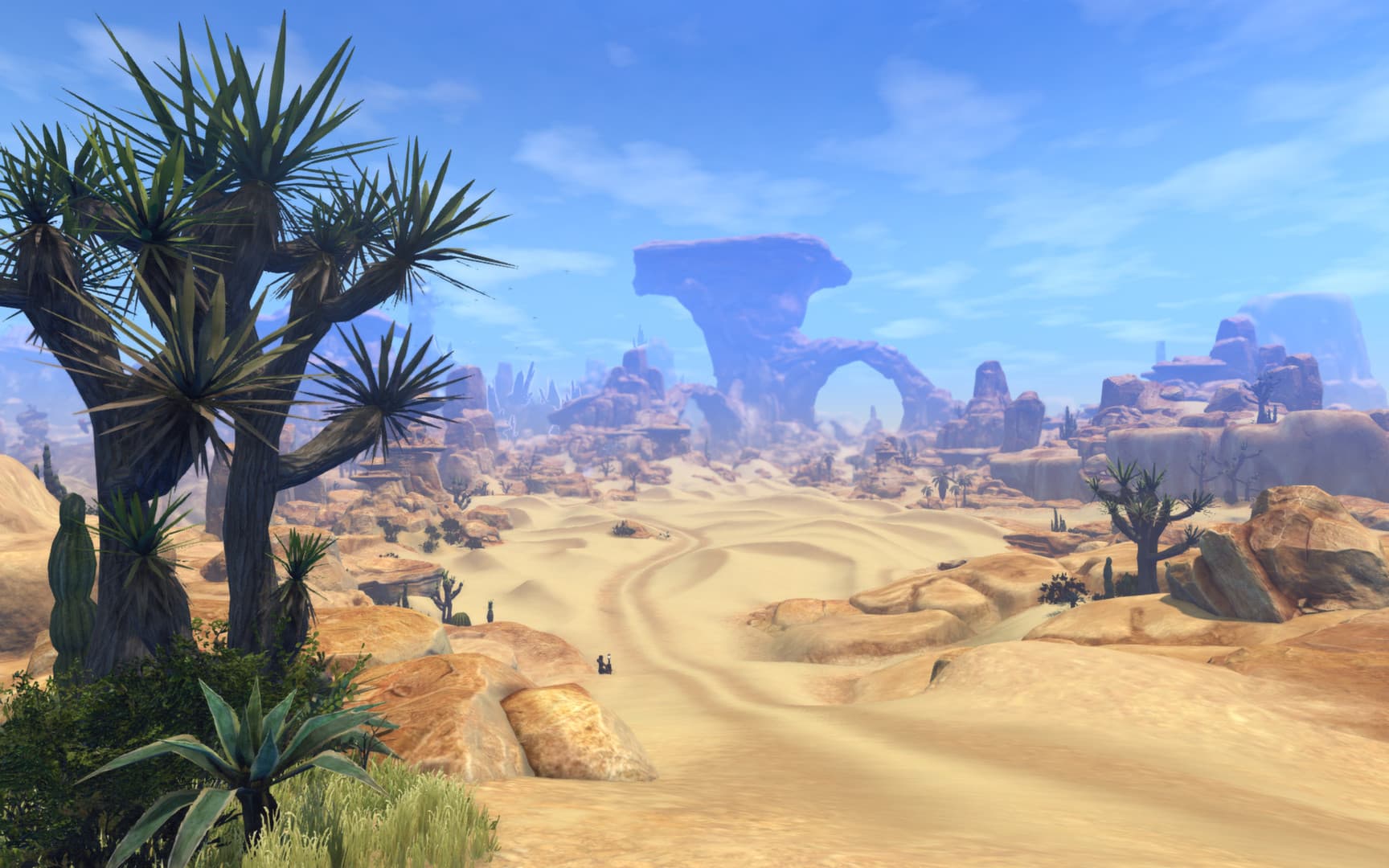 Picture of the author