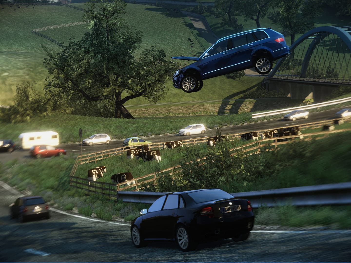 Picture of the author