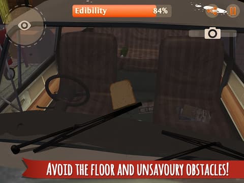 Picture of the author