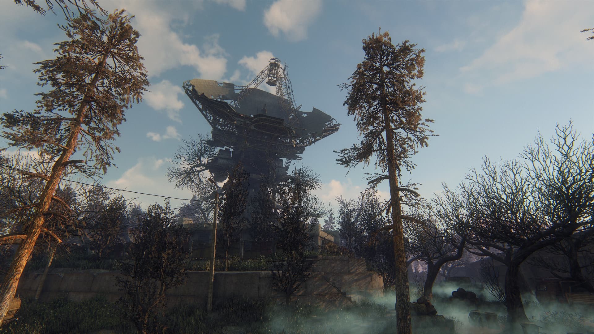 Picture of the author