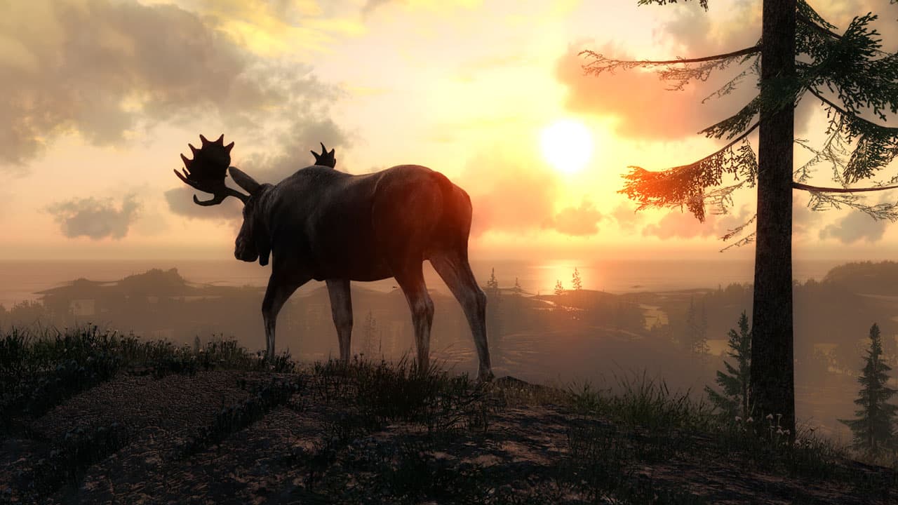 Picture of the author