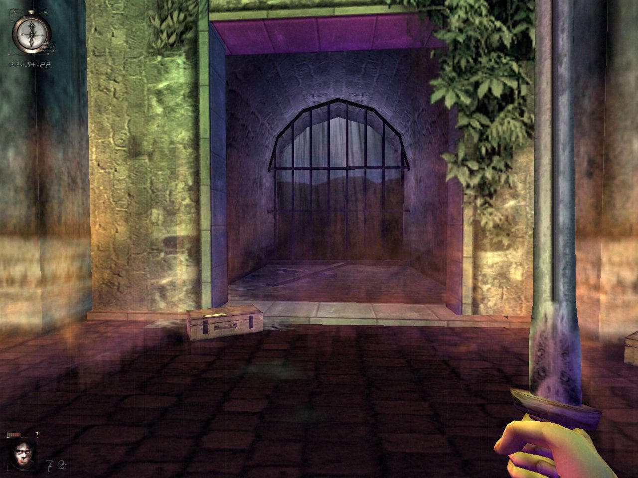 Picture of the author