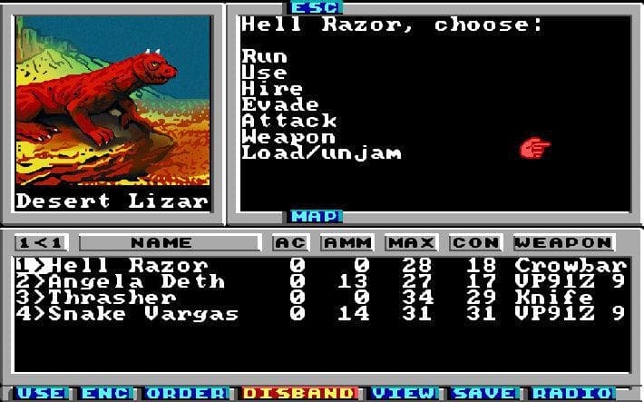 Picture of the author