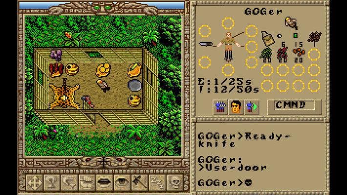 Picture of the author