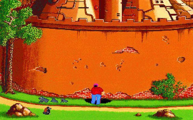 Picture of the author