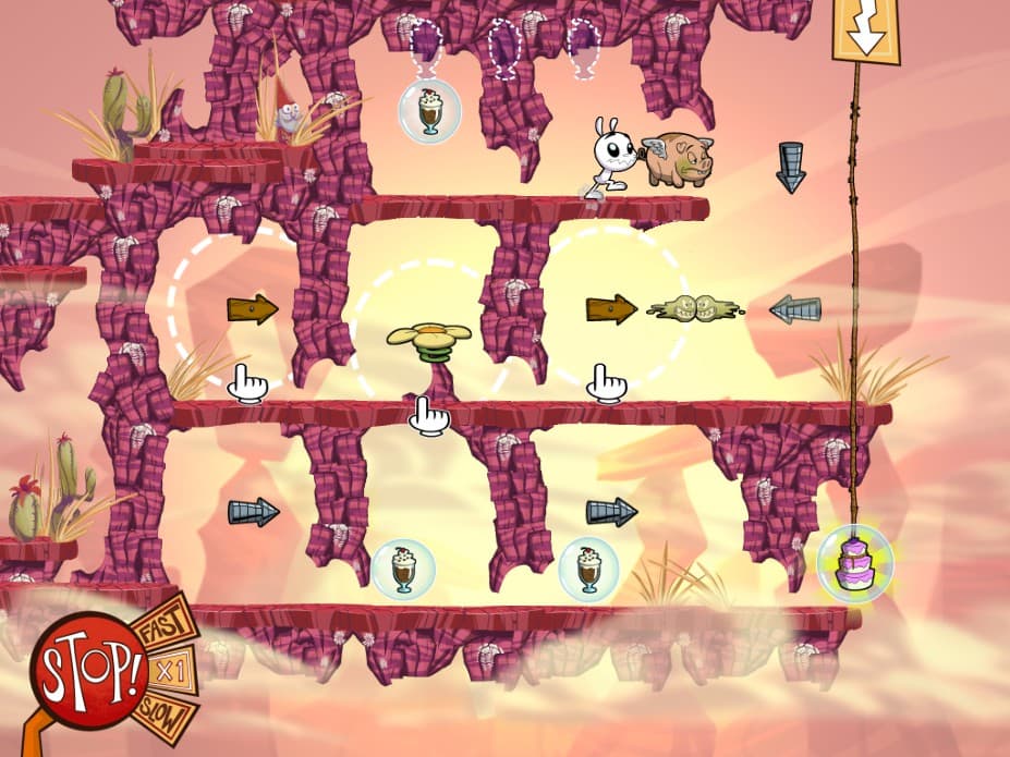 Picture of the author