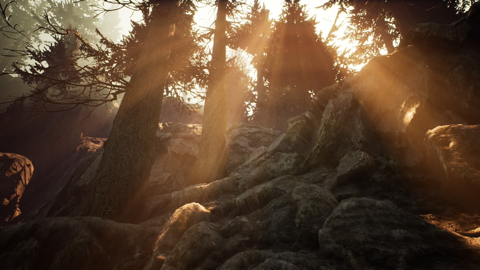 Picture of the author