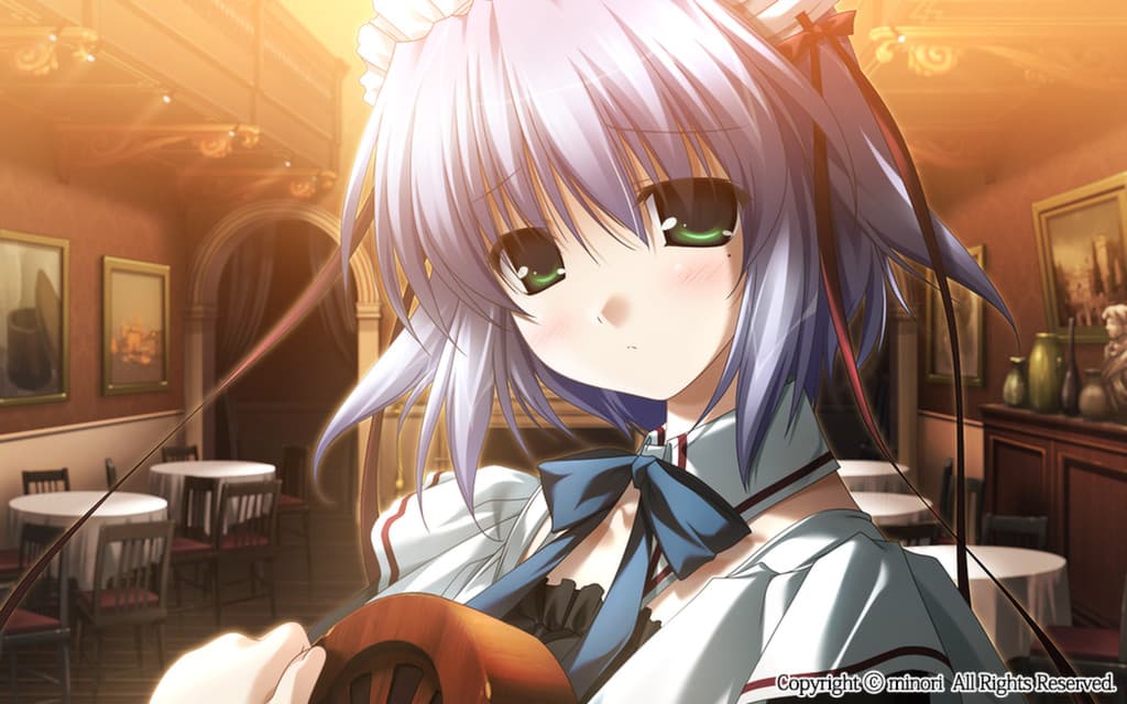 Picture of the author
