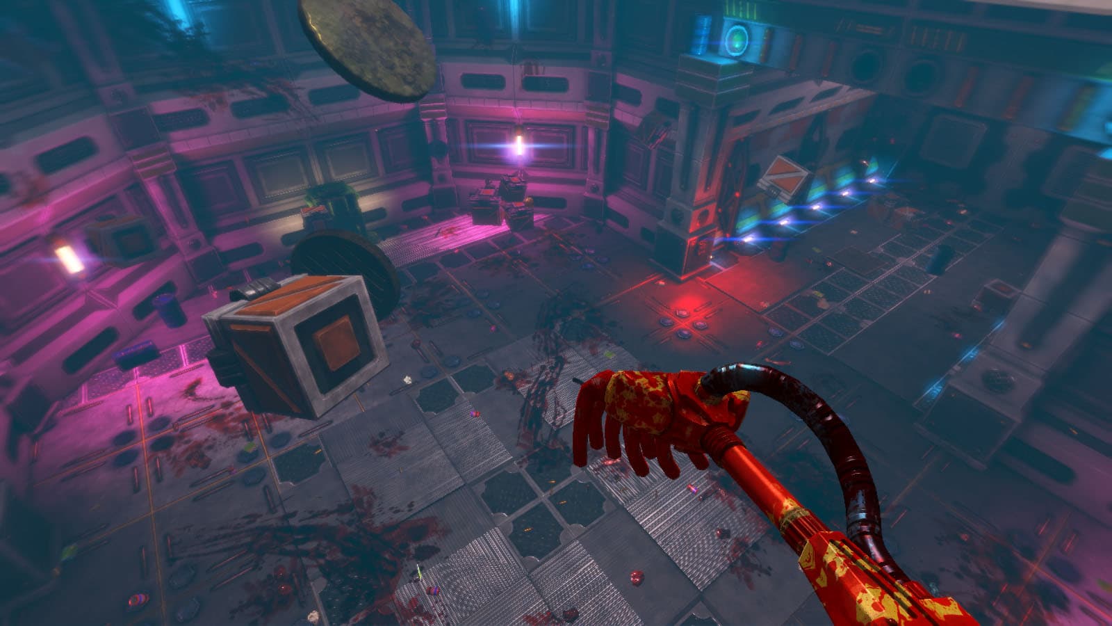 Picture of the author