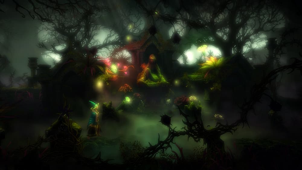 Picture of the author