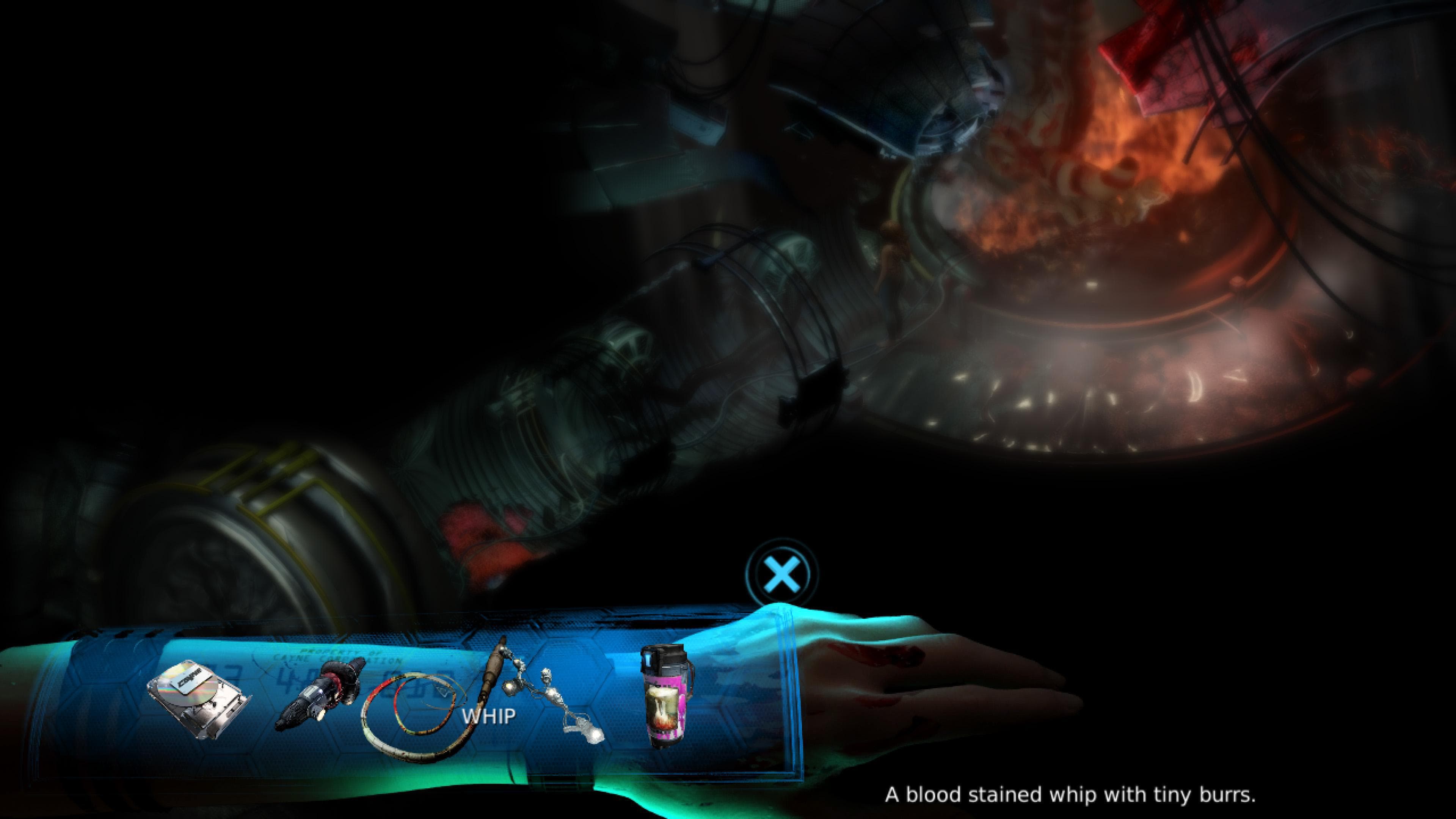 Picture of the author