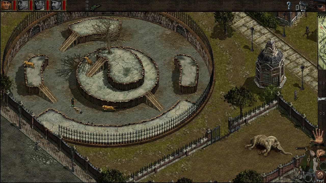 Picture of the author