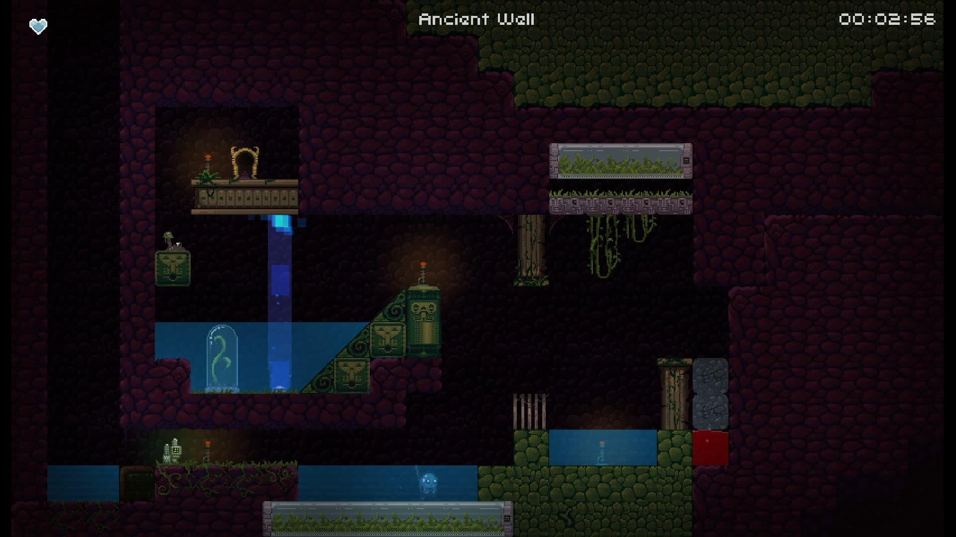 Picture of the author