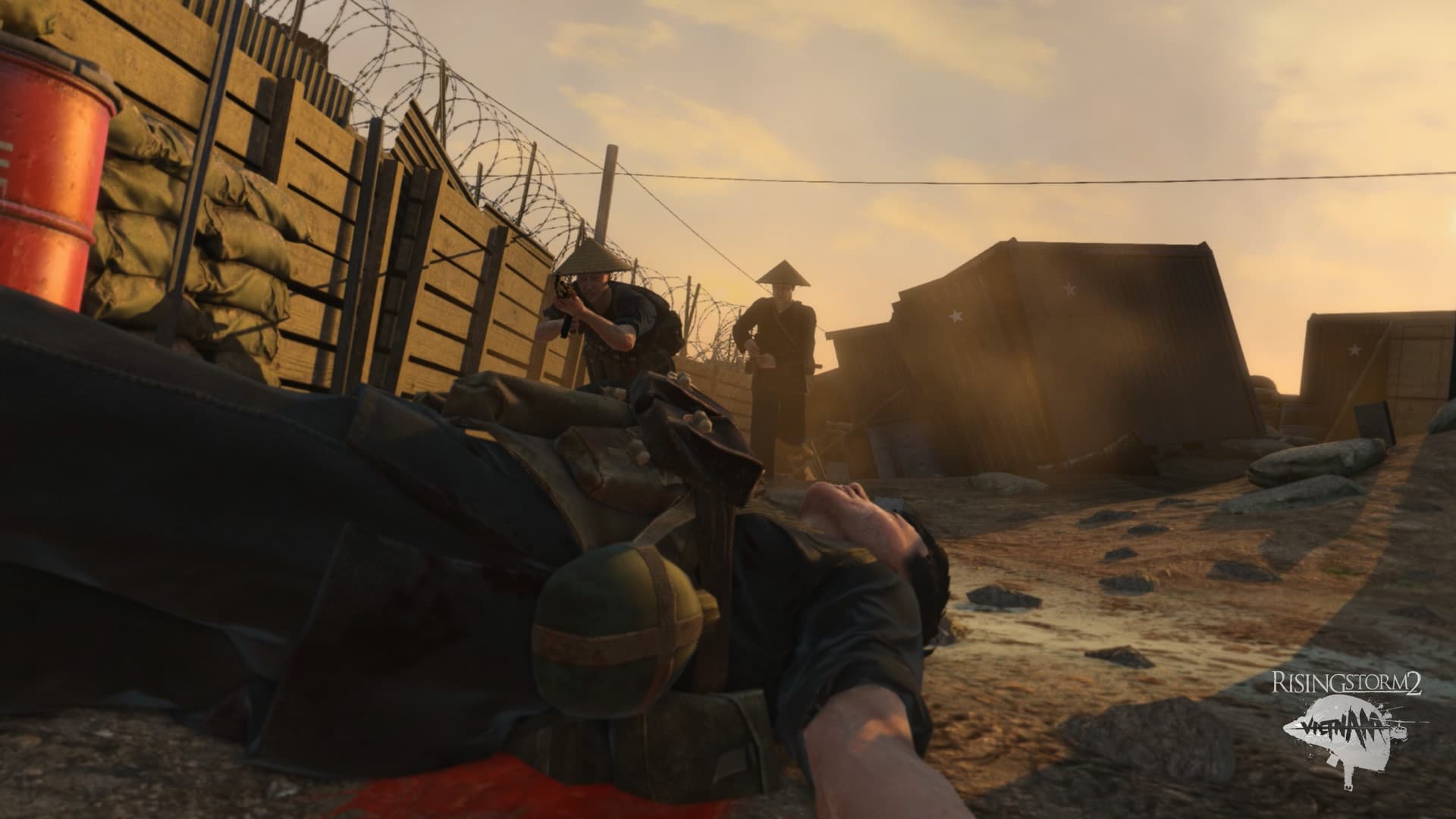 Picture of the author